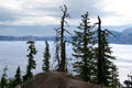 Trees silhouetted against Crater Lake National Park. OR.