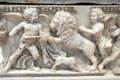 Detail of lion on Roman marble sarcophagus from Dokimeion, now Afyon, Turkey at RISD Museum. Providence, RI
