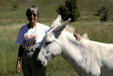 Tourist meets not so wild donkey at Custer State Park. SD.