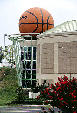 Giant basketball outside Women's Basketball Hall of Fame. Knoxville, TN.