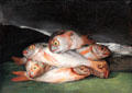 Still life with Golden Bream painting by Francisco de Goya of Spain at Museum of Fine Arts, Houston. Houston, TX.