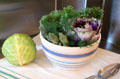 Cabbages in annular ceramic bowl at McFaddin-Ward House. Beaumont, TX.