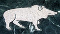 Javelina limestone floor mosaic detail in Great Hall of State at Fair Park. Dallas, TX.