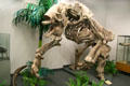 Giant Ground Sloth from Pleistocene era found in Central & South America at BYU Earth Science Museum. Provo, UT.