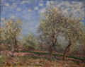 Apple Trees in Flower by Alfred Sisley at Chrysler Museum of Art. Norfolk, VA.