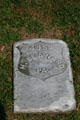 Grave of H. Leanard 4958 of PA in Poplar Grove National Cemetery at Petersburg National Battlefield. Petersburg, VA.