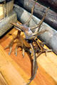 Rustic stool made of antlers in Beach Lodge at Shelburne Museum. Shelburne, VT.