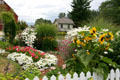 Flower beds with sunflowers at Hovander Homestead. Ferndale, WA.