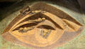 Model of graves found in Grave Creek Mound in Museum. Moundsville, WV.