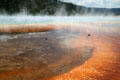 Grand Prismatic Spring beside Excelsior Geyser at Yellowstone National Park. WY.
