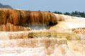 Icicle-type formations made of minerals at Minerva Terrace of Mammoth Hot Springs at Yellowstone National Park. WY.