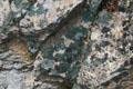 Lichens on rocks of Grand Canyon of Yellowstone National Park. WY.