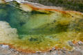 Colored pool of West Thumb Geyser Basin on Yellowstone Lake in Yellowstone National Park. WY.
