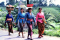 Women carrying goods on their heads in traditional manner. Bali, Indonesia