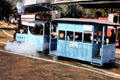 Blue steam monorail carries passengers around rail museum. Delhi, India.