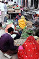 Typical market street scene. Mandawa, India.