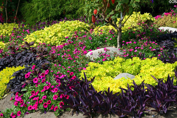 Garden design at Stanley Park Rose Garden. Vancouver, BC.