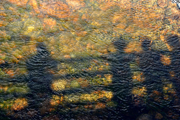 Hikers pause to watch their shadows on river surface below suspension foot bridge. NB.