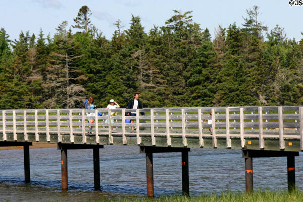 Wooden foot bridge at Kouchibouguac National Park. NB.