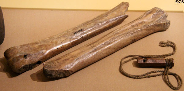 Ice skates carved from horse bones beside carved bone whistle for falconry both (1500s) from England at Royal Ontario Museum. Toronto, ON.