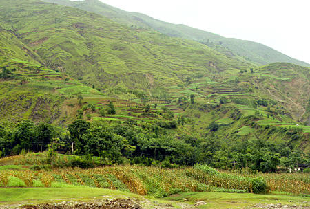 Crops and trees on hills of three small gorges off Yangtze (Yangtse) River. China.