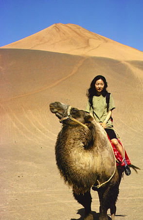 Tourist camel at Bezeklik Caves, Turpan. China.