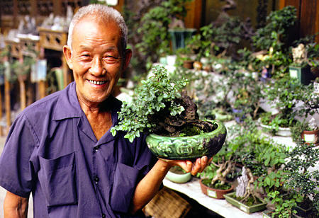 Bonsai tree grower in Guangzhou. China.