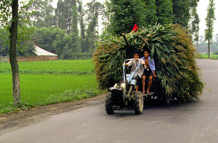 Walking tractors are the workhorses of China as seen in Chengdu. China.
