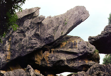 Limestone crocodile in the stone forest near Kunming. China.