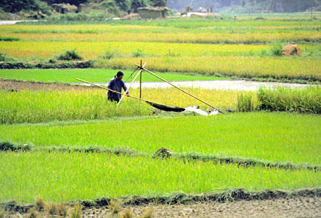 Traditional tripod and scoop used to lift water in China near Kweilin. China.