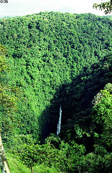 View of forest on road to Poas National Park from North. Costa Rica.