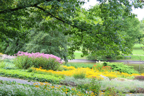 Plantings in Planten un Blomen park. Hamburg, Germany.