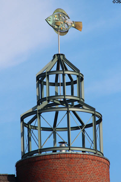 Flounder weathervane atop tower nearby Hamburg Fish Market. Hamburg, Germany.