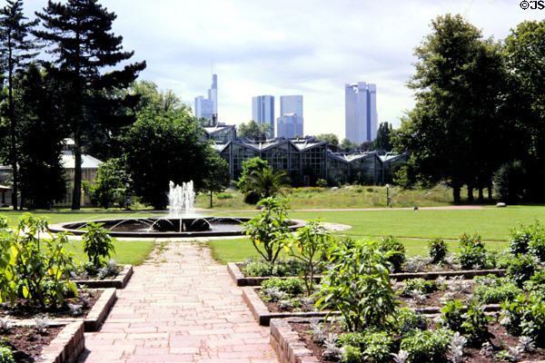 Skyscrapers in the distance as viewed from Frankfurt Palm Gardens. Frankfurt am Main, Germany.