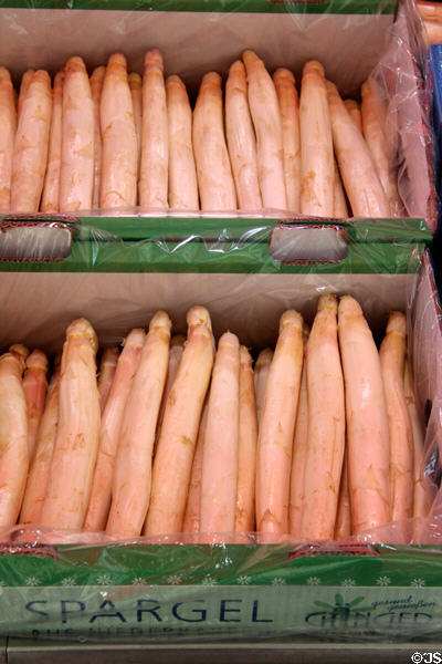 White asparagus bins at Viktualienmarkt. Munich, Germany.
