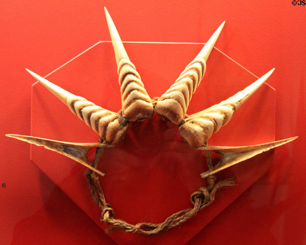 Head dress made from horn bill beaks from Papua New Guinea at Five Continents Museum. Munich, Germany.