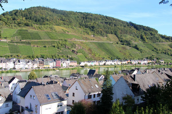 Mosel River & vineyards at Zell. Zell, Germany.