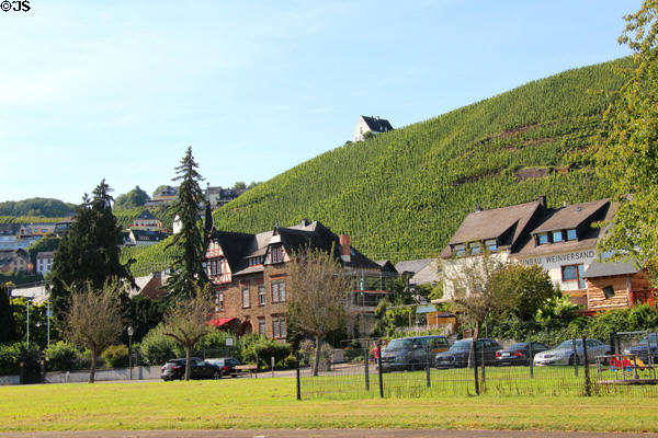 Village set against vineyards. Ürzig, Germany.