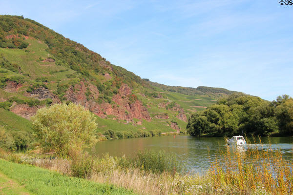 Mosel River winding through valley. Ürzig, Germany.