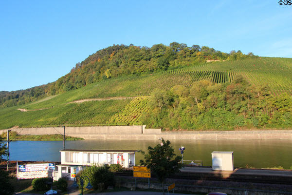 Mosel River & vineyards seen from Nittel. Nittel, Germany.