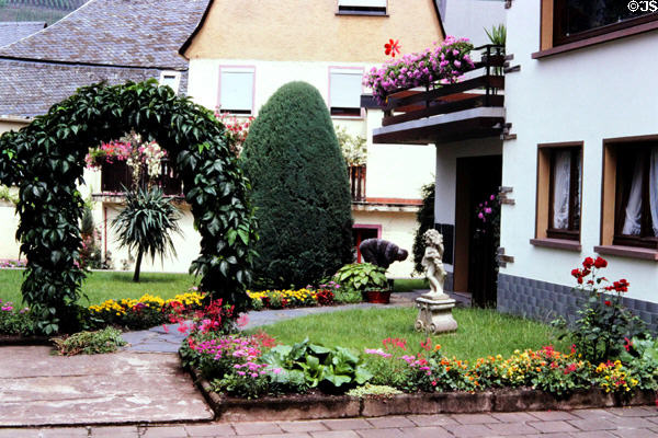 Flowers & plantings in front garden of dwelling. Pünderich, Germany.