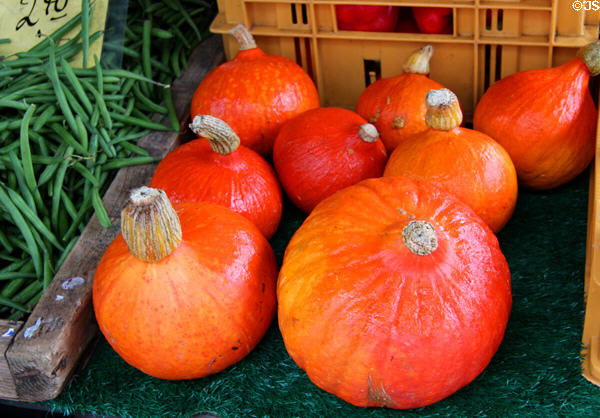 Squash in Marketplace at Lübeck Rathaus. Lübeck, Germany.