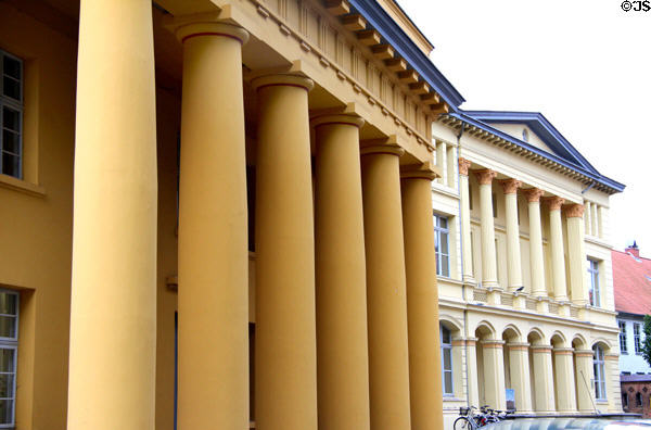 Biology & Zoology departments of University of Rostock. Rostock, Germany.