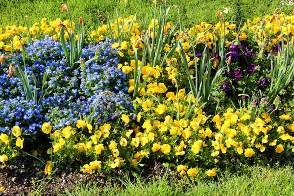 Flower display at Oberschleißheim Palaces. Munich, Germany.