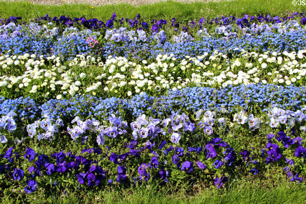 Flower display at Oberschleißheim Palaces. Munich, Germany.