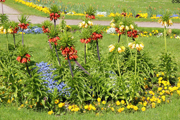 Flower display at Oberschleißheim Palaces. Munich, Germany.