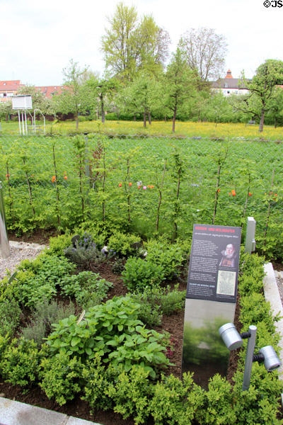 Restored monastery garden on land once owned by Welser family at Fugger und Welser Erlebnismuseum. Augsburg, Germany.