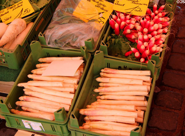 White asparagus. Nuremberg, Germany.