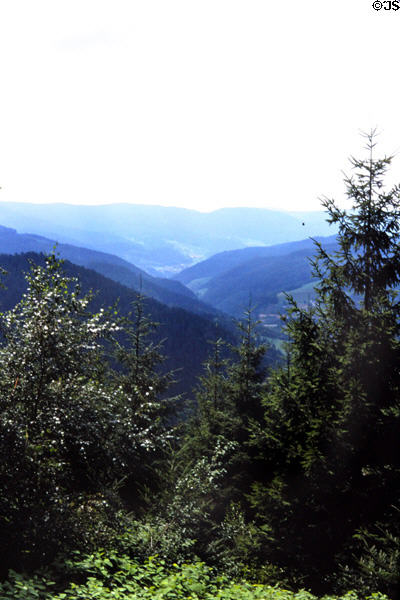 Black Forest view with hills in background. Germany.