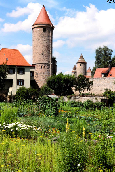Towers along city walls. Dinkelsbühl, Germany.